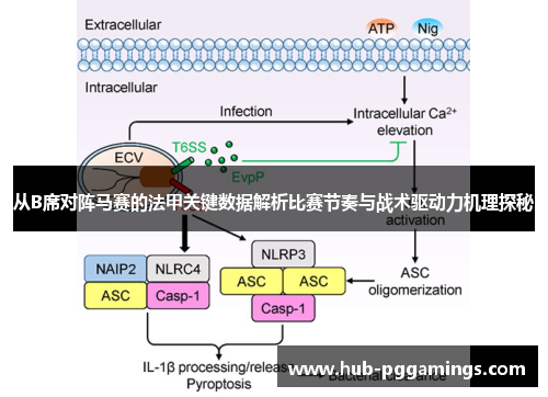 从B席对阵马赛的法甲关键数据解析比赛节奏与战术驱动力机理探秘